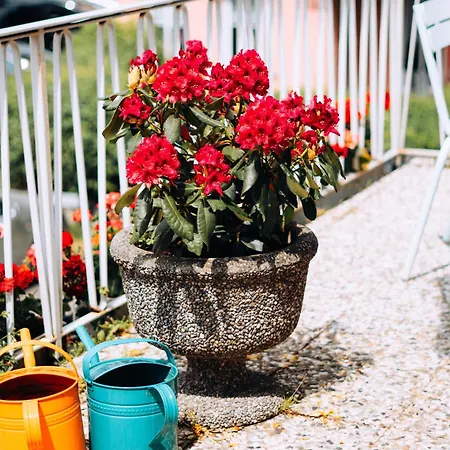 Molo Rouge - Boutiquehotel & Cafe Gasthof