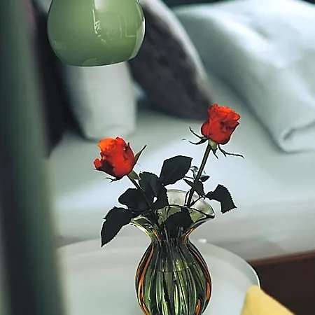 Molo Rouge - Boutiquehotel & Cafe * Wunsiedel